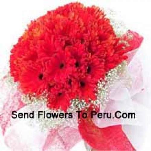 Cute 36 Red Gerberas