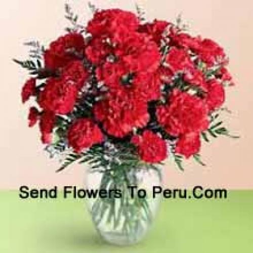 36 Red Cute Carnations