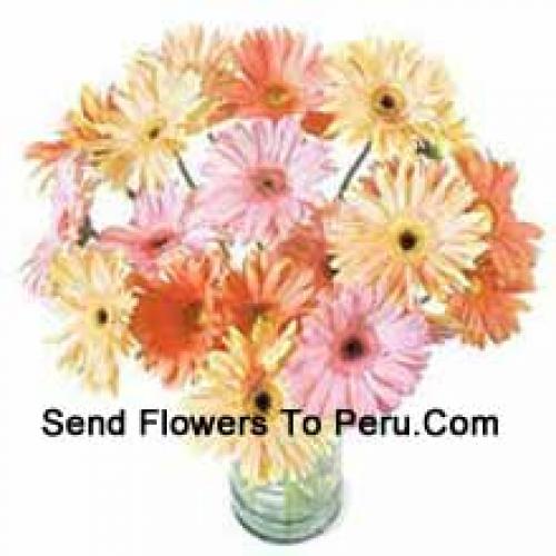 24 Fancy Assorted Gerberas