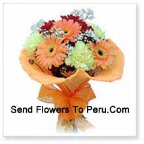 10 Assorted Cute Gerberas