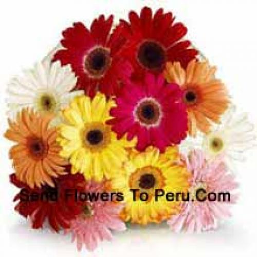 12 Assorted Gerberas with Fillers