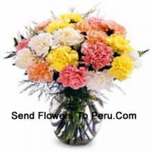 12 Elegant Mixed Carnations