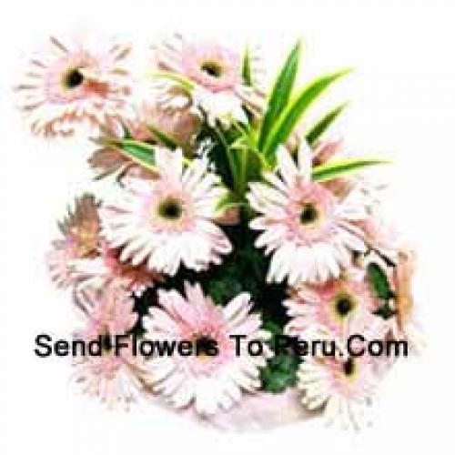 15 Rosa Gerbera Korb