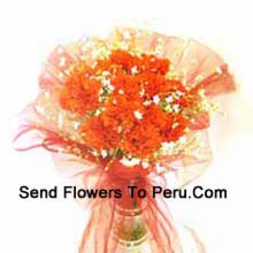 12 Orange Carnations in Vase